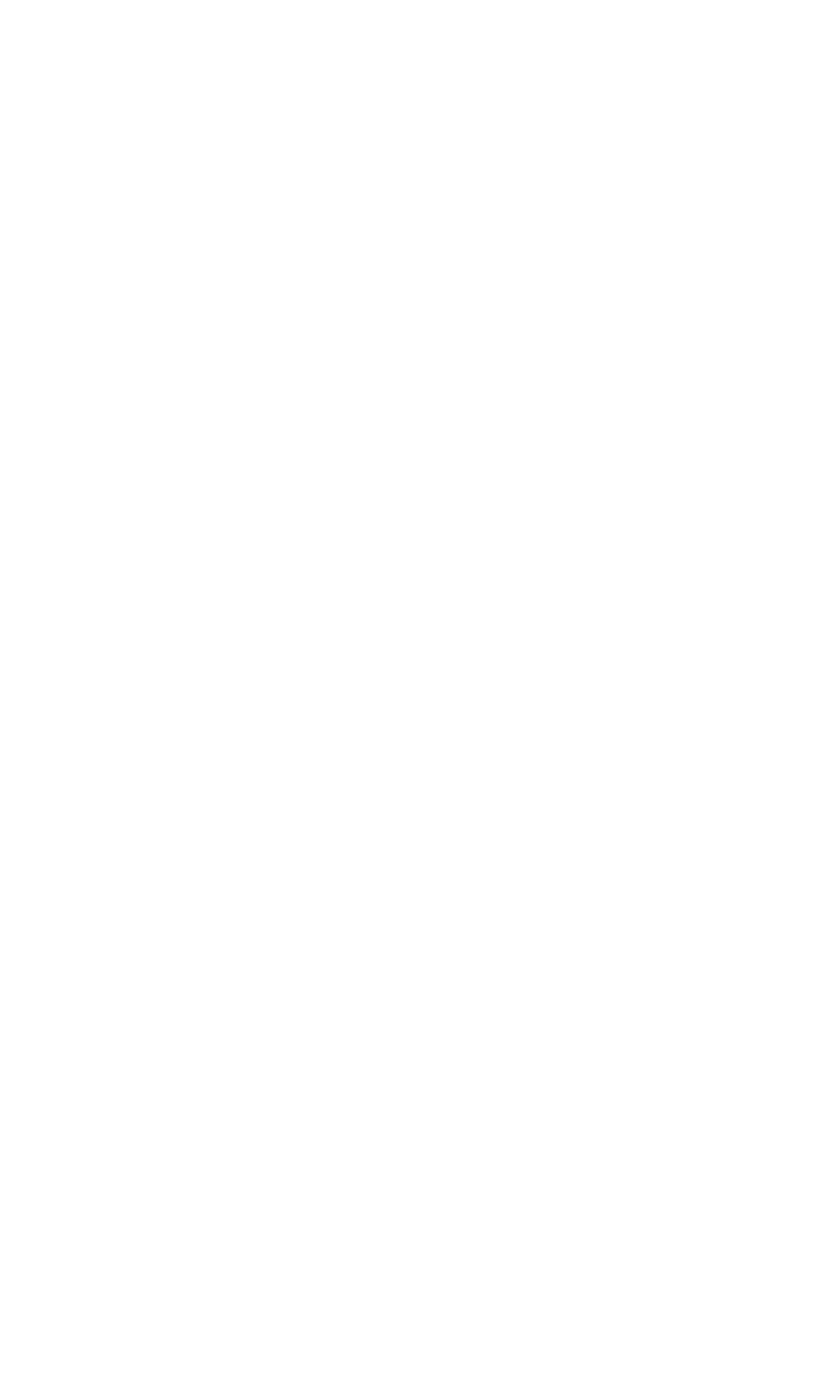 Iron Invest knight mark